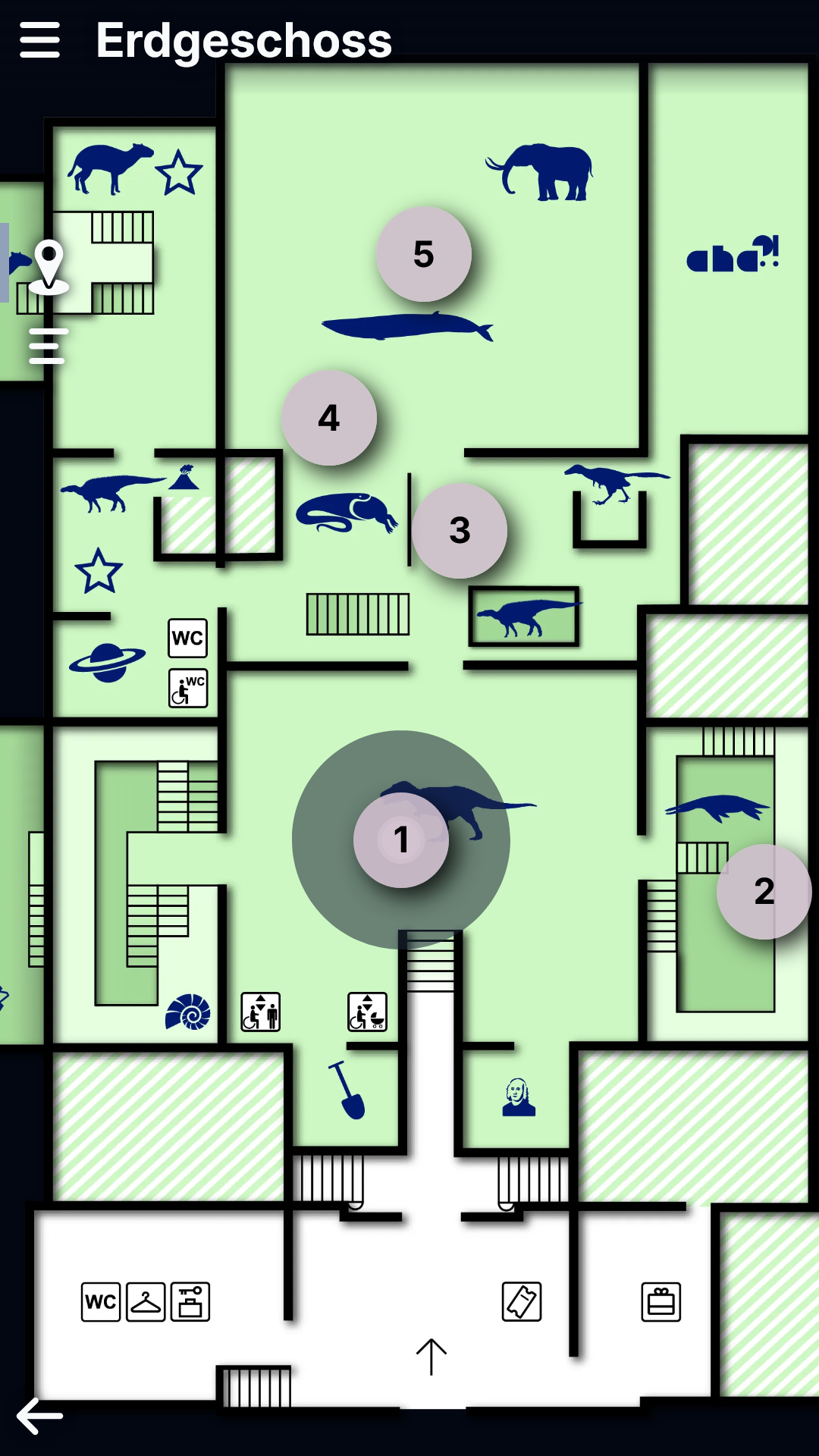 Senckenberg Museum Grundriss Erdgeschoss