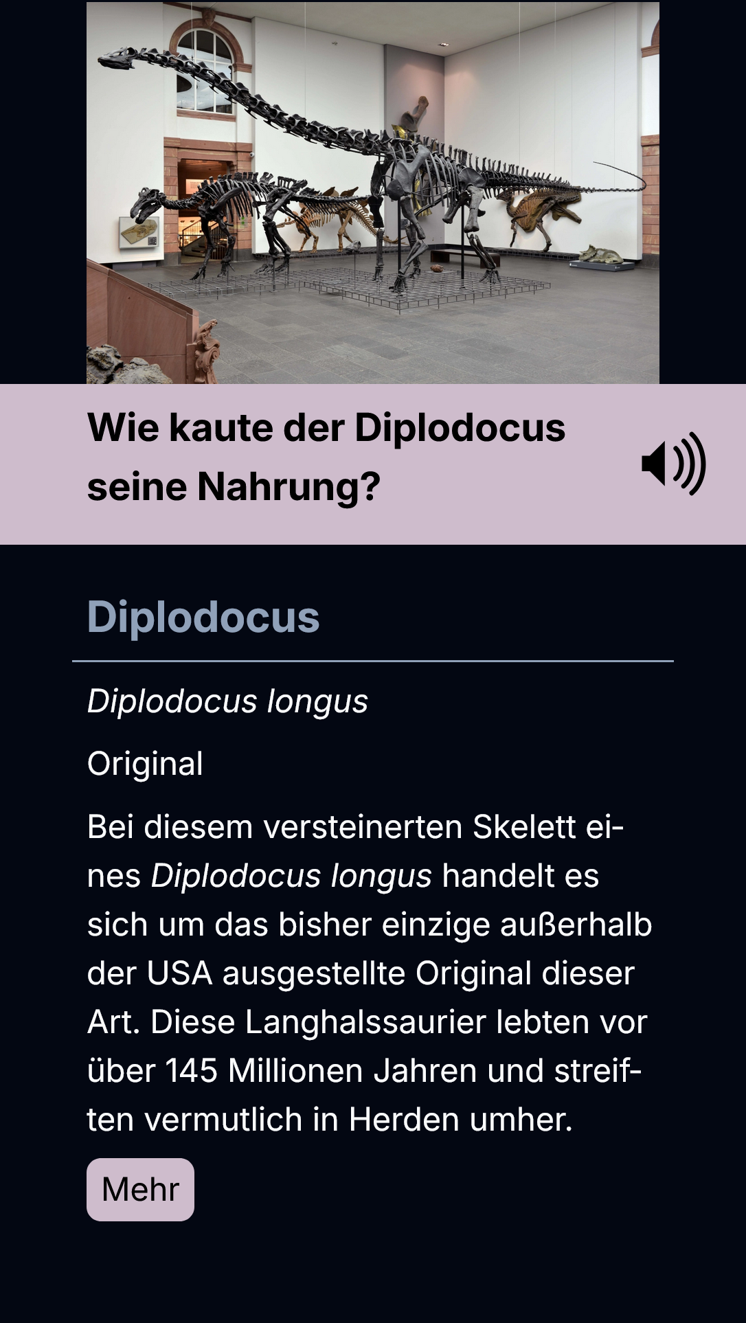 Anzeige der Exponate im Senckenberg Museum