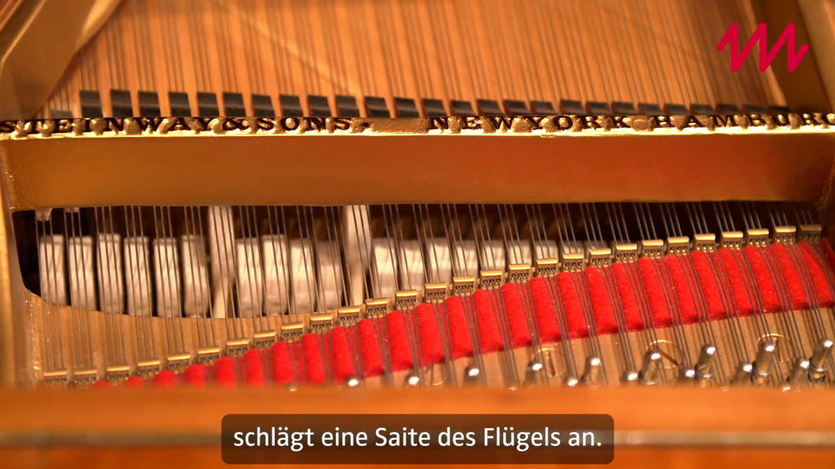 Hämmer und Saiten Hämmer und Saiten